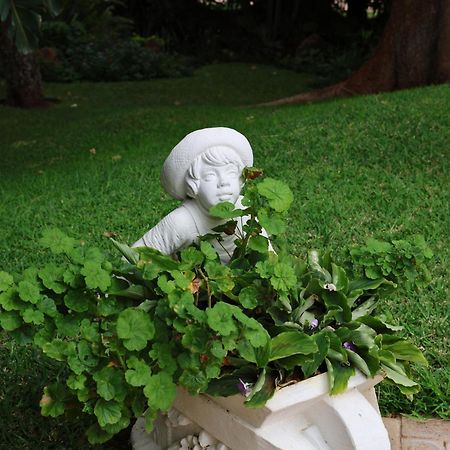 The Victorian Manor Bed & Breakfast Air Terjun Victoria Bagian luar foto